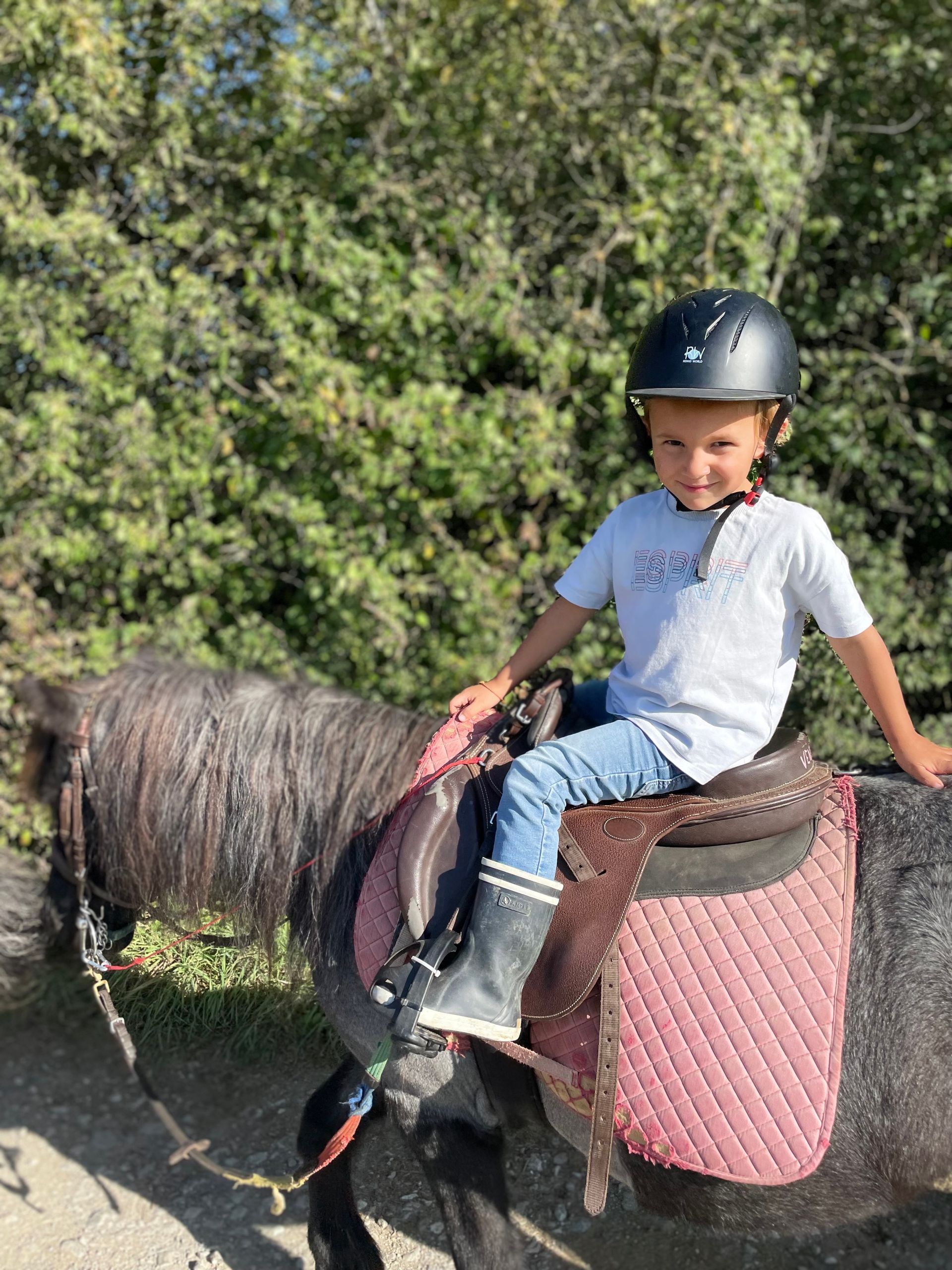 Jeune garçon sur un poney