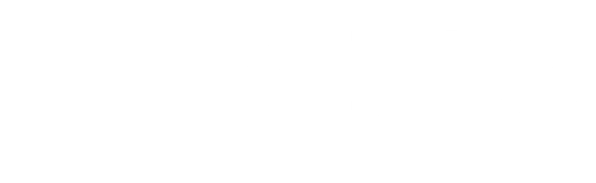 Blank white rectangle with a thin black horizontal line near the lower third