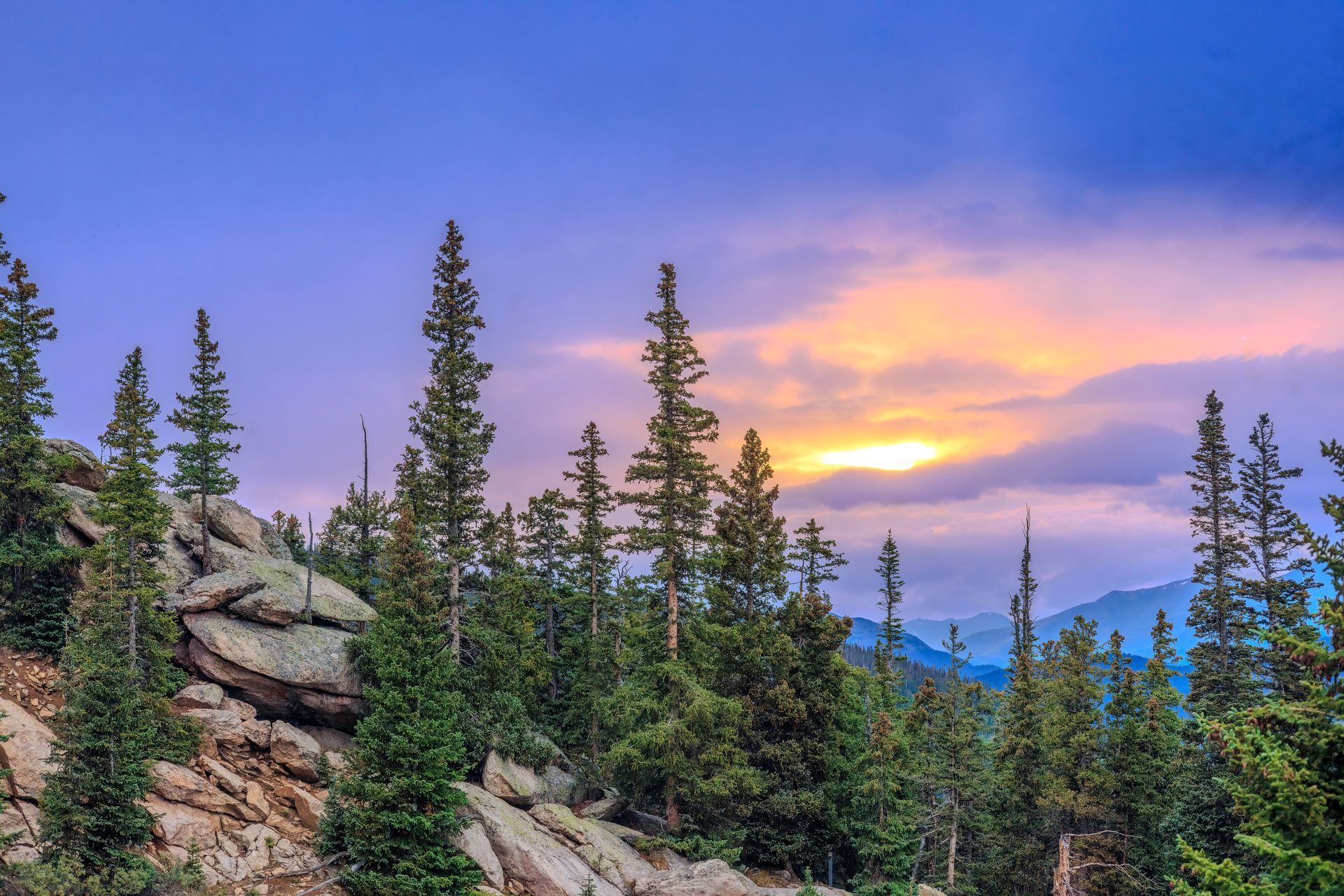 Sunset over pine forest and rocky hillside with purple clouds and distant mountains