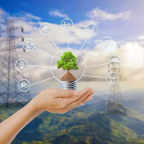 Mano sosteniendo una bombilla con un árbol dentro, rodeado de iconos de fuentes de energía renovables.
