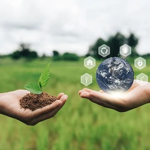 Manos sosteniendo una planta que brota y una Tierra brillante con íconos ambientales en un campo.