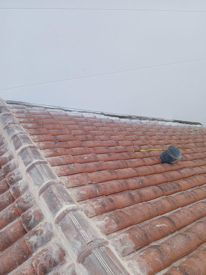 Techo de tejas rojas con un objeto negro y un objeto amarillo encima, contra un cielo gris.
