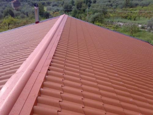 Techo de tejas marrones con cumbrera central, contrastado con un paisaje verde.