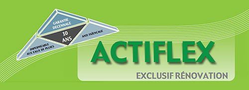 Logo Actiflex
