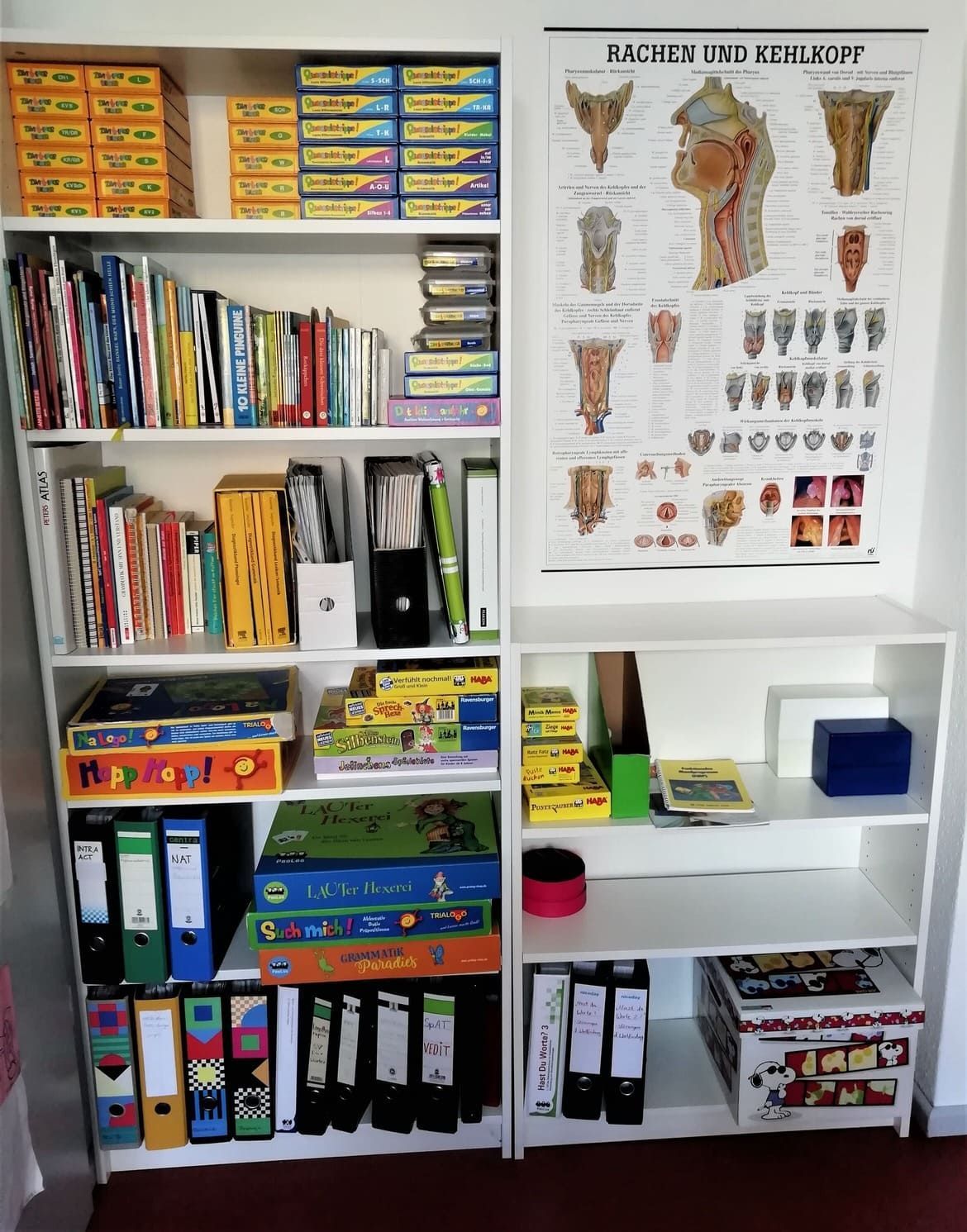 logopaedie-pribbernow