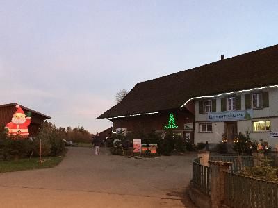 Glaskunsthandwerk Karin Senn