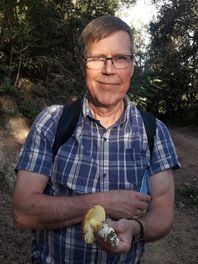 Jouko ja keisarikärpässieni