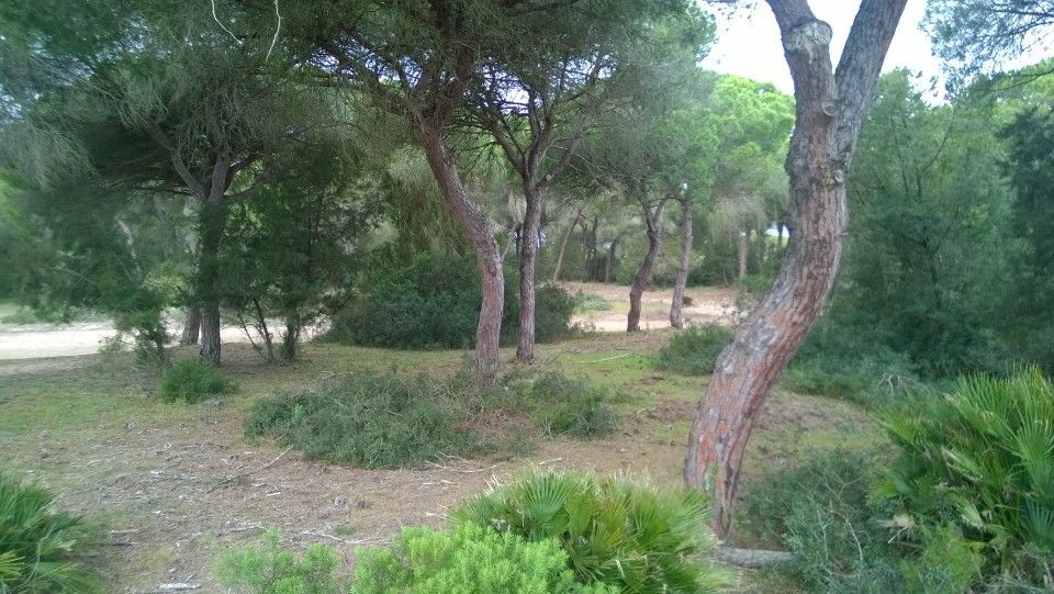 Espanjalaista luontoa.