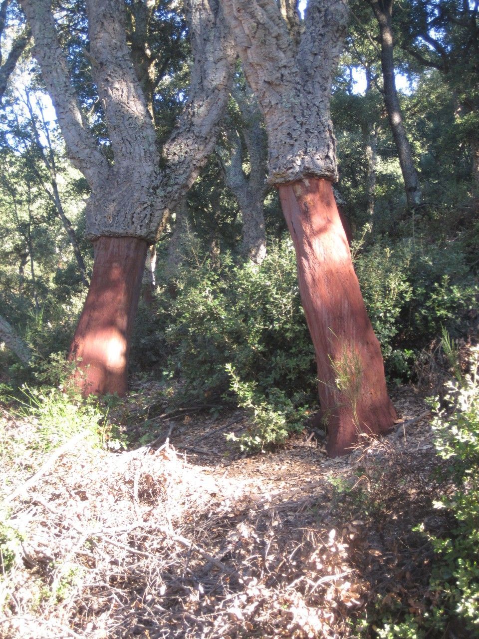 Metsässä luonnon ääressä.