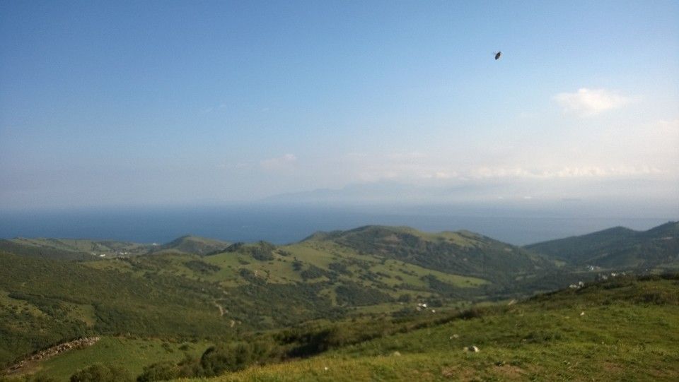 Näköala kukkulalta.