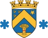Blason bleu et or orné de chevrons