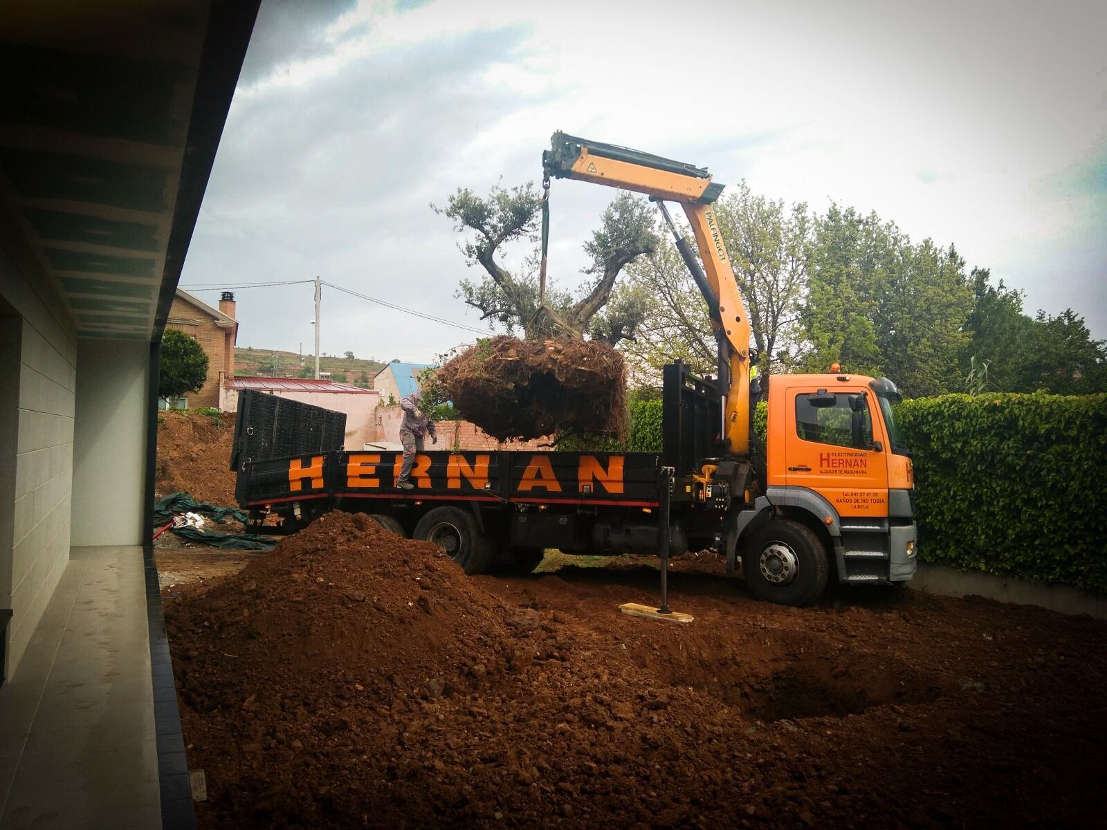 Camión volquete naranja descargando astillas de madera junto a un edificio y un seto en una carretera mojada.