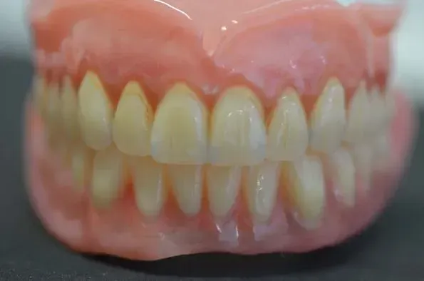 Eine Nahaufnahme einer Prothese mit vielen Zähnen auf einem Tisch. Dentaltechnik Claudia Meier