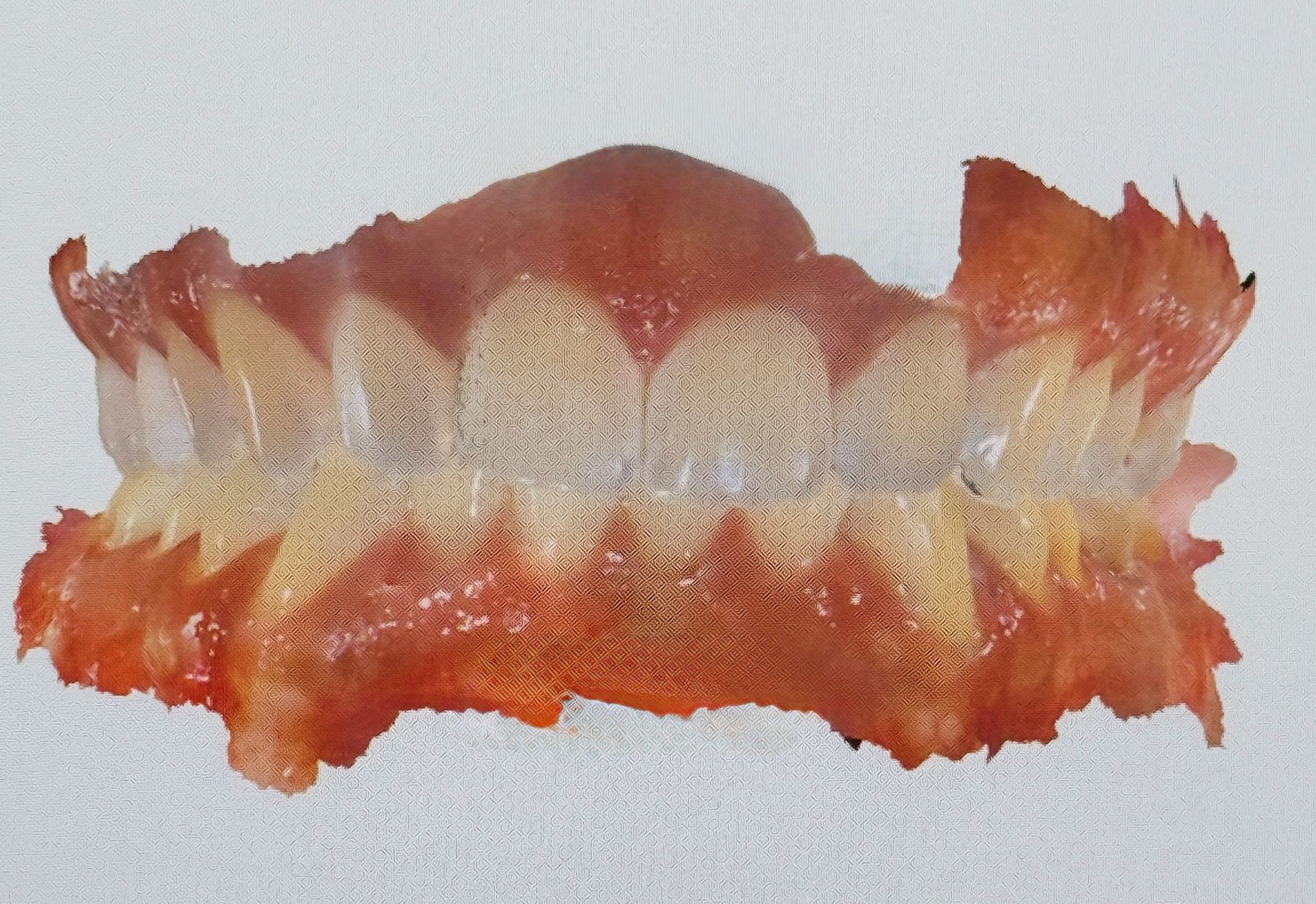 Orange, gelbe und weißes netzartiges Muster, das an das Maul eines Meerestieres erinnert, auf weißem Hintergrund.