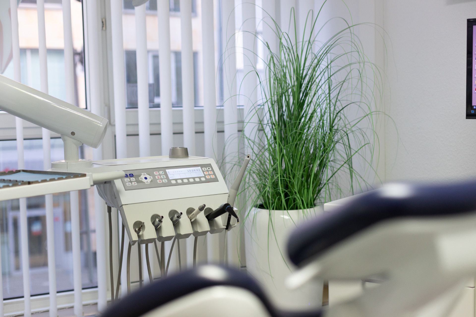 Ein Zahnarztstuhl in einer Zahnarztpraxis mit einer Pflanze im Hintergrund