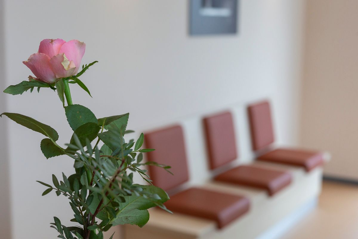 Galerie der Gemeinschaftspraxis Victoria Stake & Dr. med. Mathias Stake in Meerane