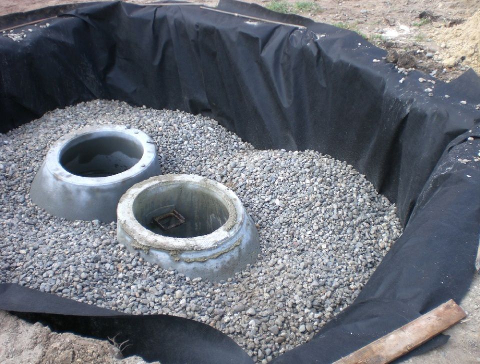 Rohrenden schauen aus Boden hervor