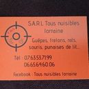 Tous Nuisibles Lorraine 