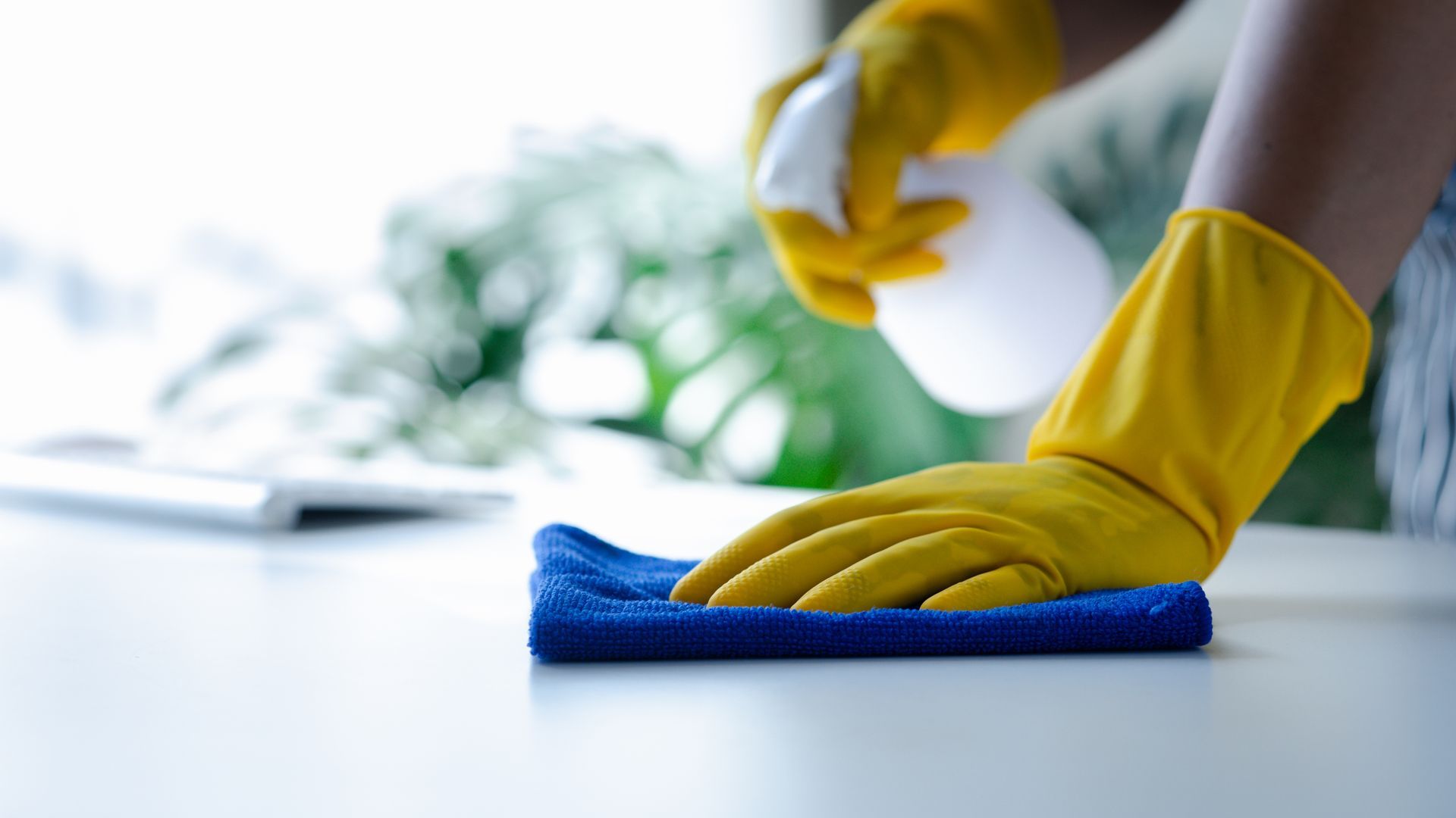 Eine Person mit gelben Handschuhen reinigt einen Tisch mit einem blauen Tuch.