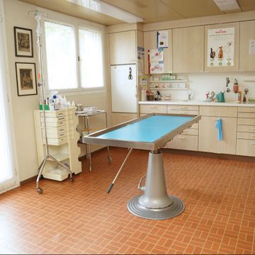 Untersuchungszimmer - Tierarztpraxis Glaus