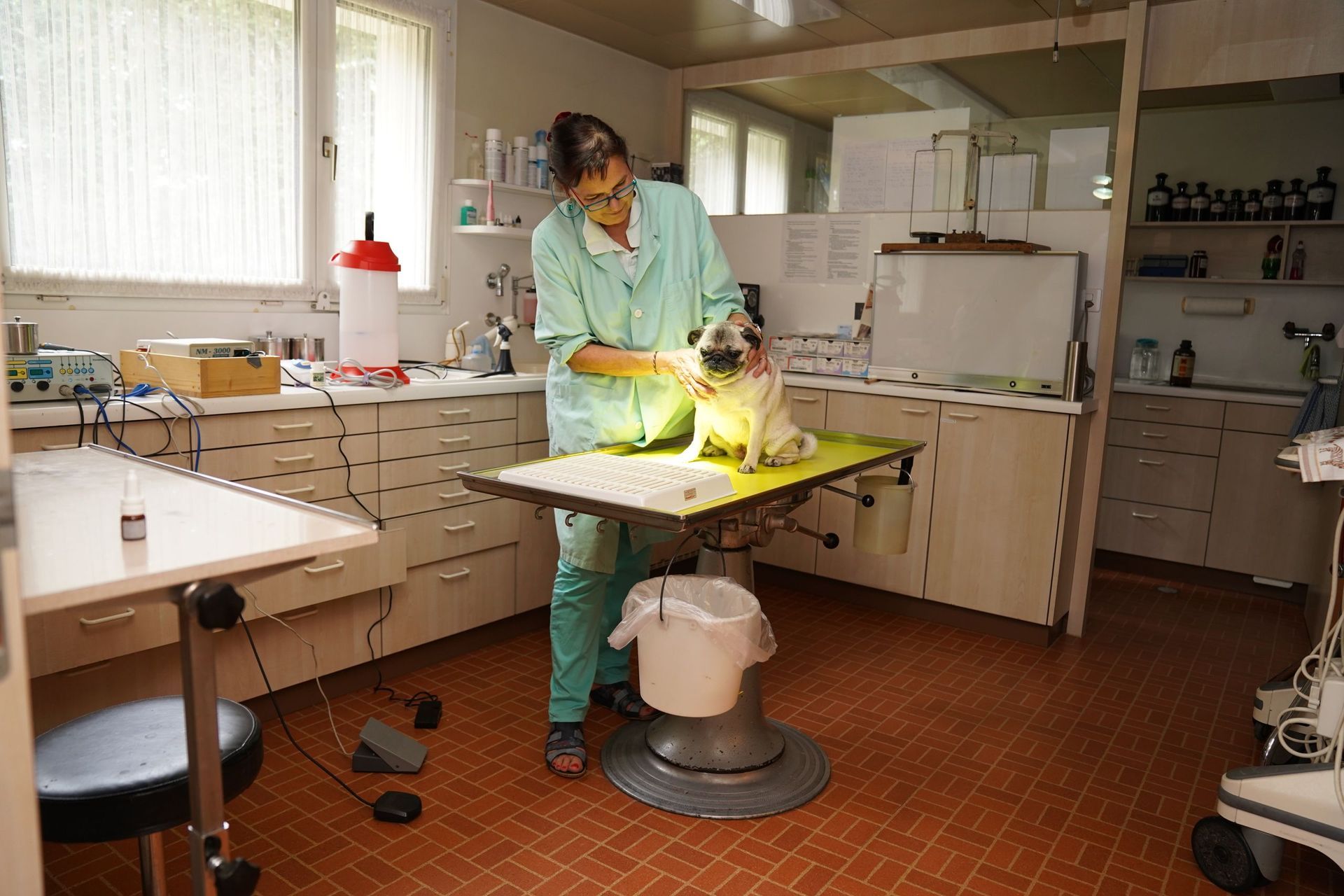 Untersuchungszimmer - Tierarztpraxis Glaus