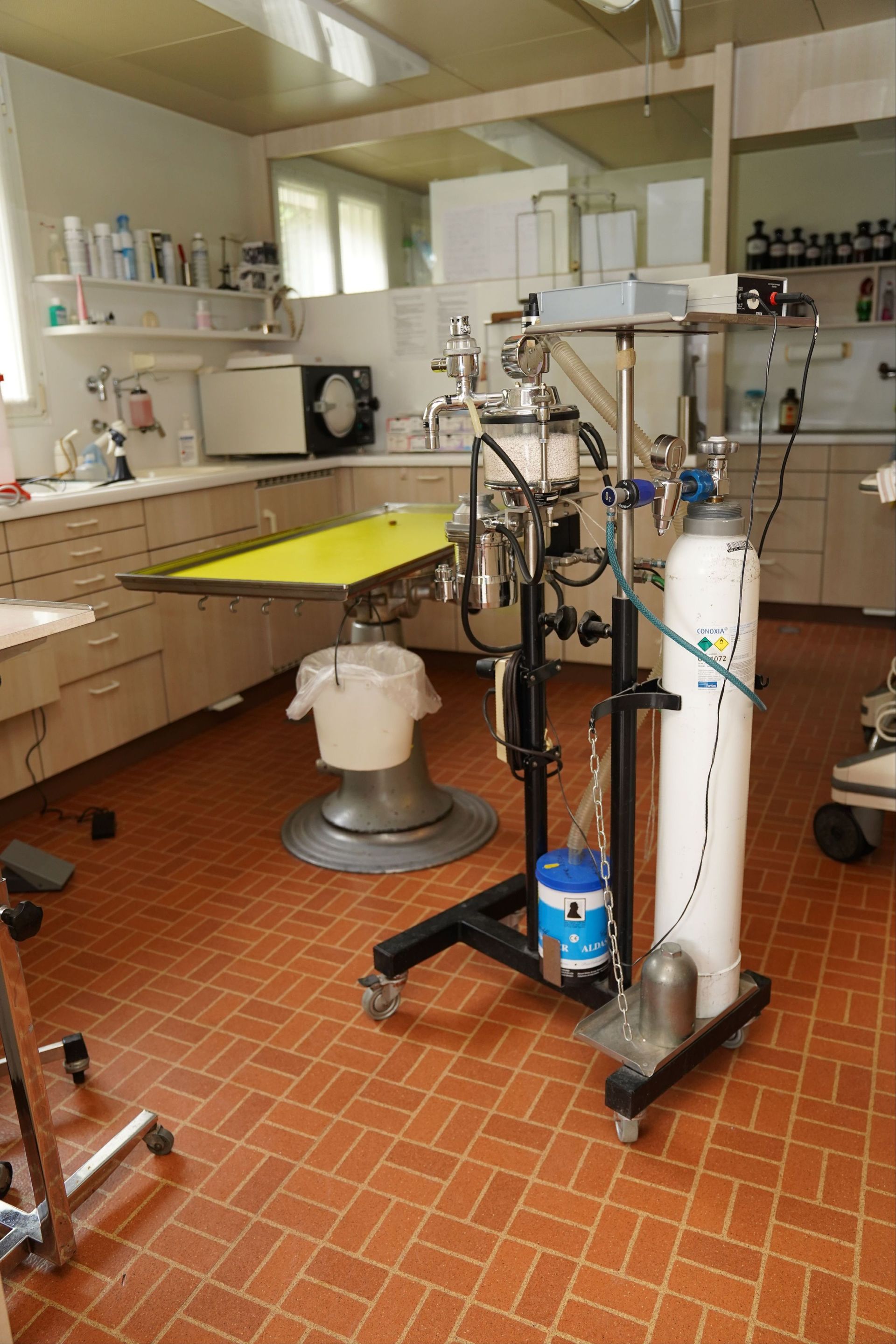 Behandlungszimmer - Tierarztpraxis Glaus