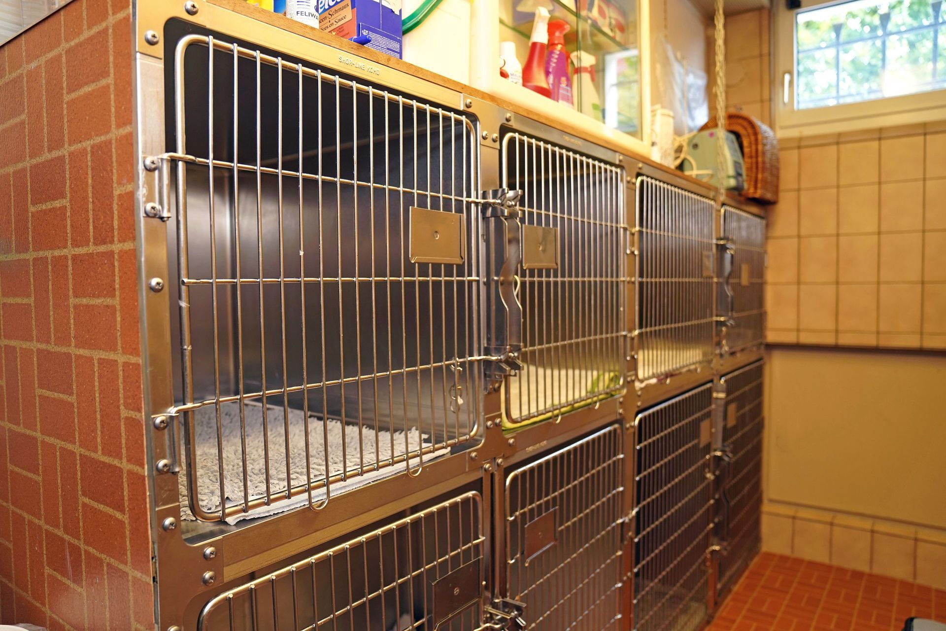 Vogelarzt - Tierarztpraxis Glaus