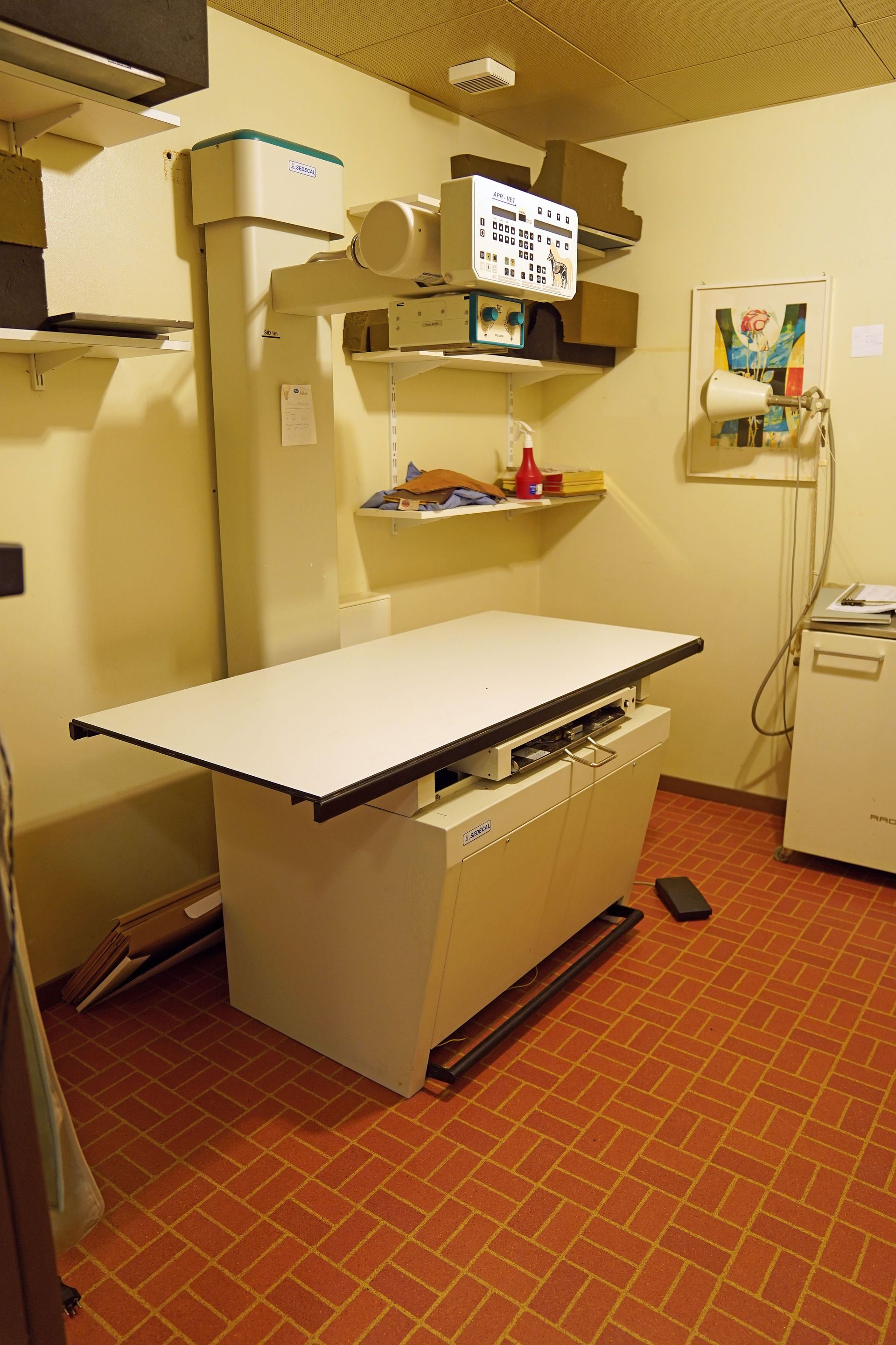 Nagetierarzt - Tierarztpraxis Glaus