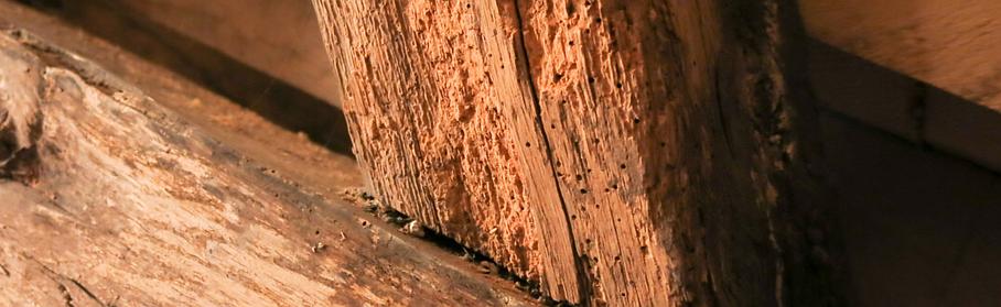 Traitement de charpente en bois