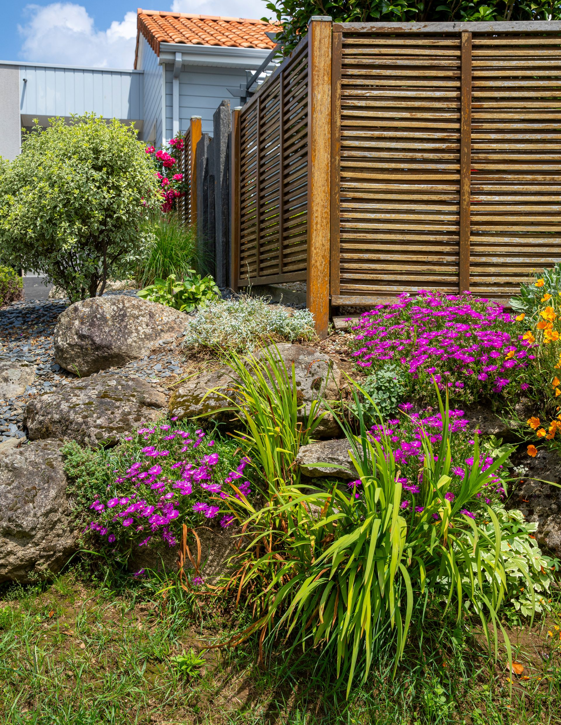 Jardin de rocaille avec des fleurs violettes, des plantes vertes et une clôture en bois.