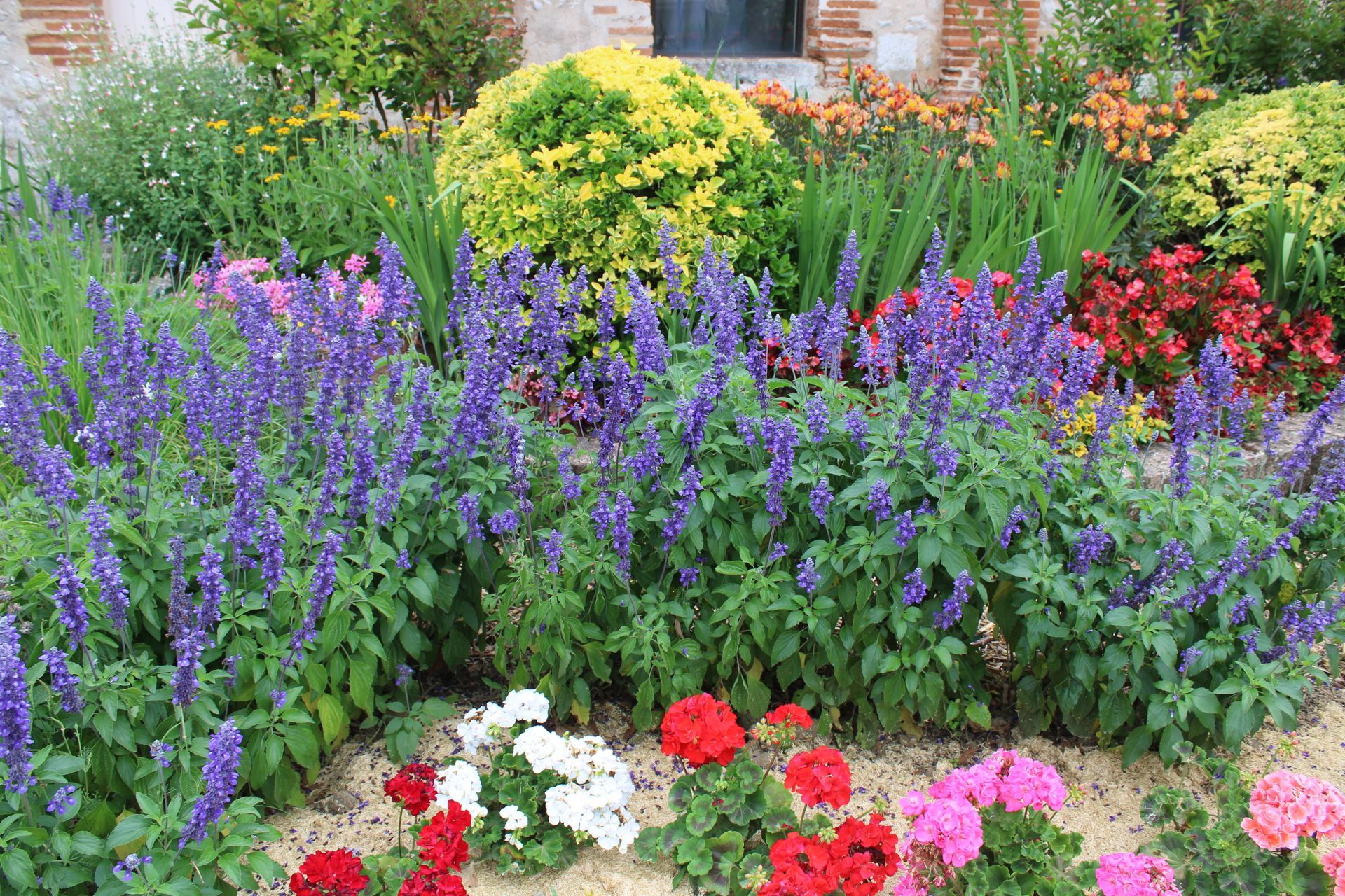 Jardin de fleurs colorées devant un bâtiment en briques, avec des fleurs violettes, rouges, roses et jaunes.