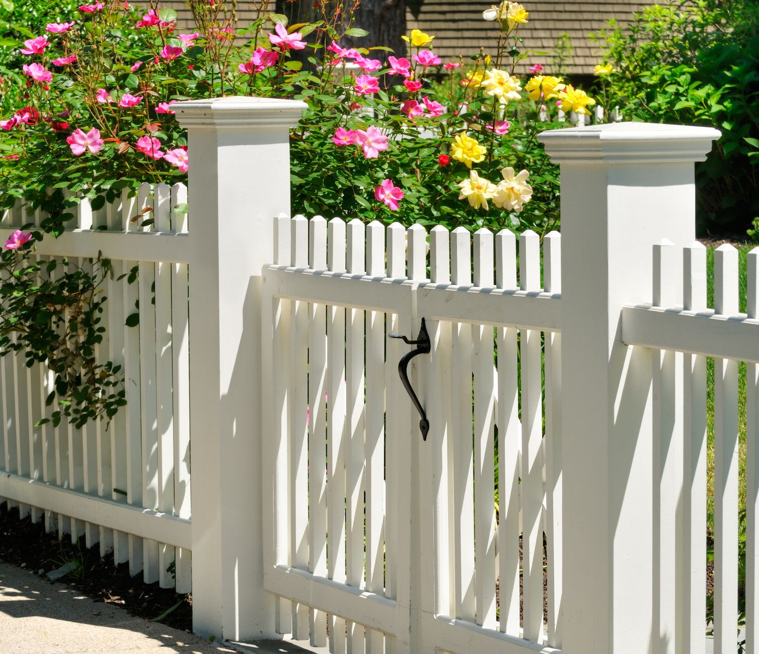 Clôture blanche avec un portail, encadrée de roses roses et jaunes.