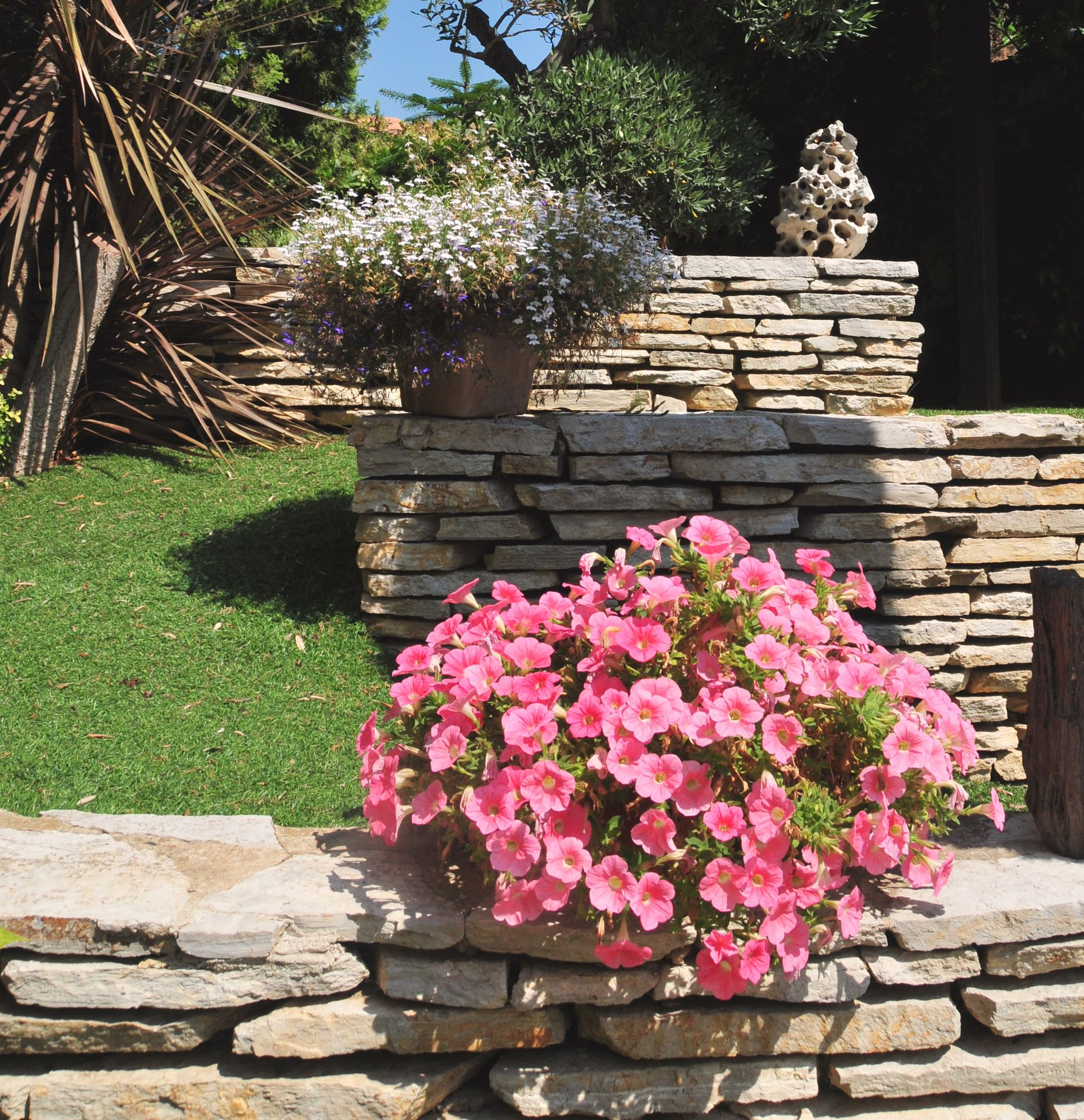 Pétunias roses débordant d'un mur de pierre dans un jardin, avec une deuxième composition florale et une sculpture en arrière-plan.