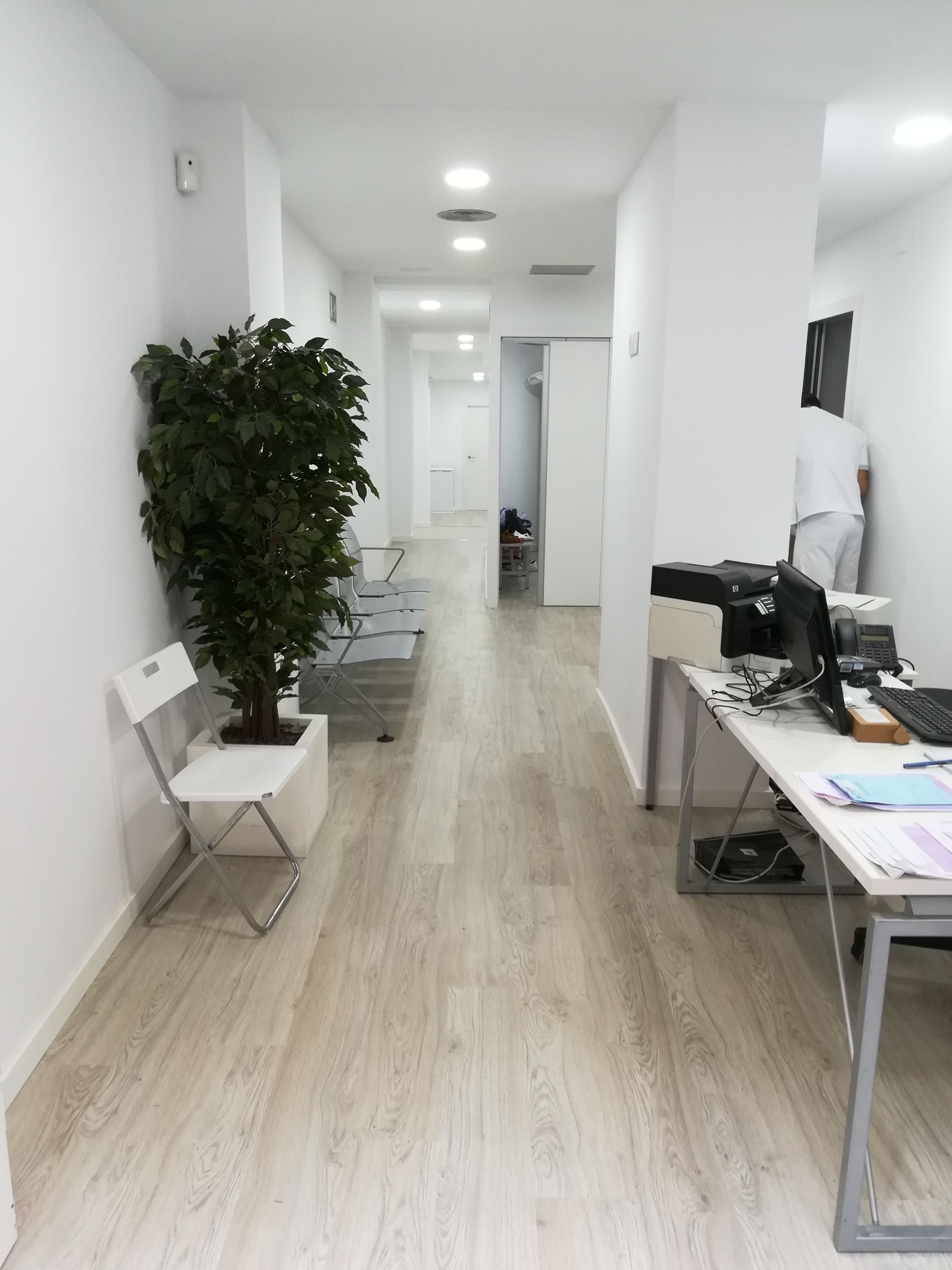 Pasillo luminoso de oficina con paredes blancas, suelo de madera, sillas, escritorios y una gran planta en maceta.