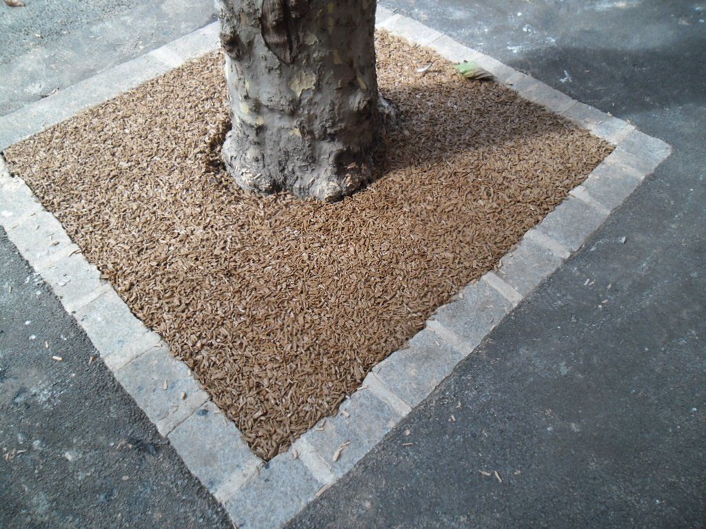 Entourage d'arbre de mulch aggloméré à St Gervais