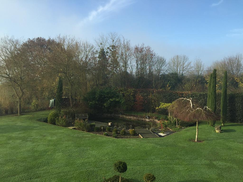 Aménagement autour d'une mare