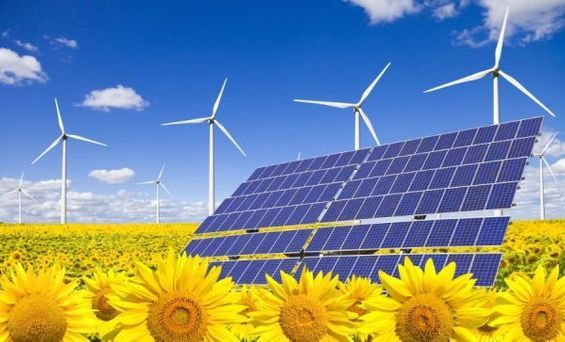 Solaranlage in einem Sonnenblumenfeld, Windräder im Hintergrund