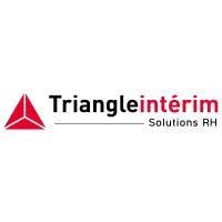 Logo Triangle Solution RH
