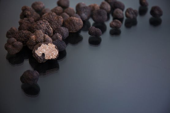 Truffes fraîches de première qualité et préparation culinaires - C'Bon Sàrl - C'Bon Sàrl