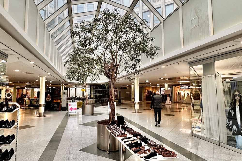 Innenansicht eines Einkaufszentrums mit Geschäften, einem Topfbaum und einer vorbeigehenden Person.
