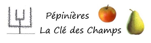 Logo Pépinière La Clé des Champs