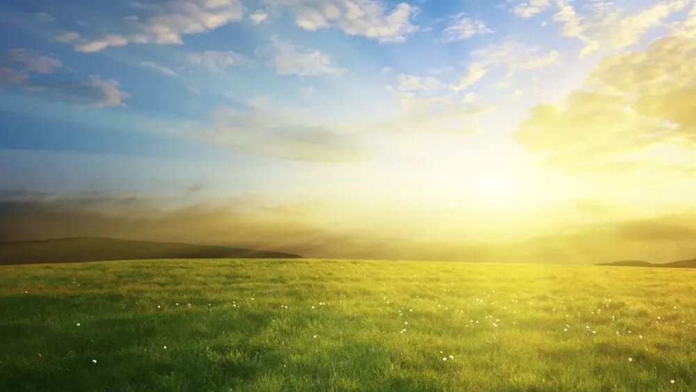 Die Sonne scheint über einem grünen Feld | Dr. med. Ute Angelika Sartorius Psychotherapie