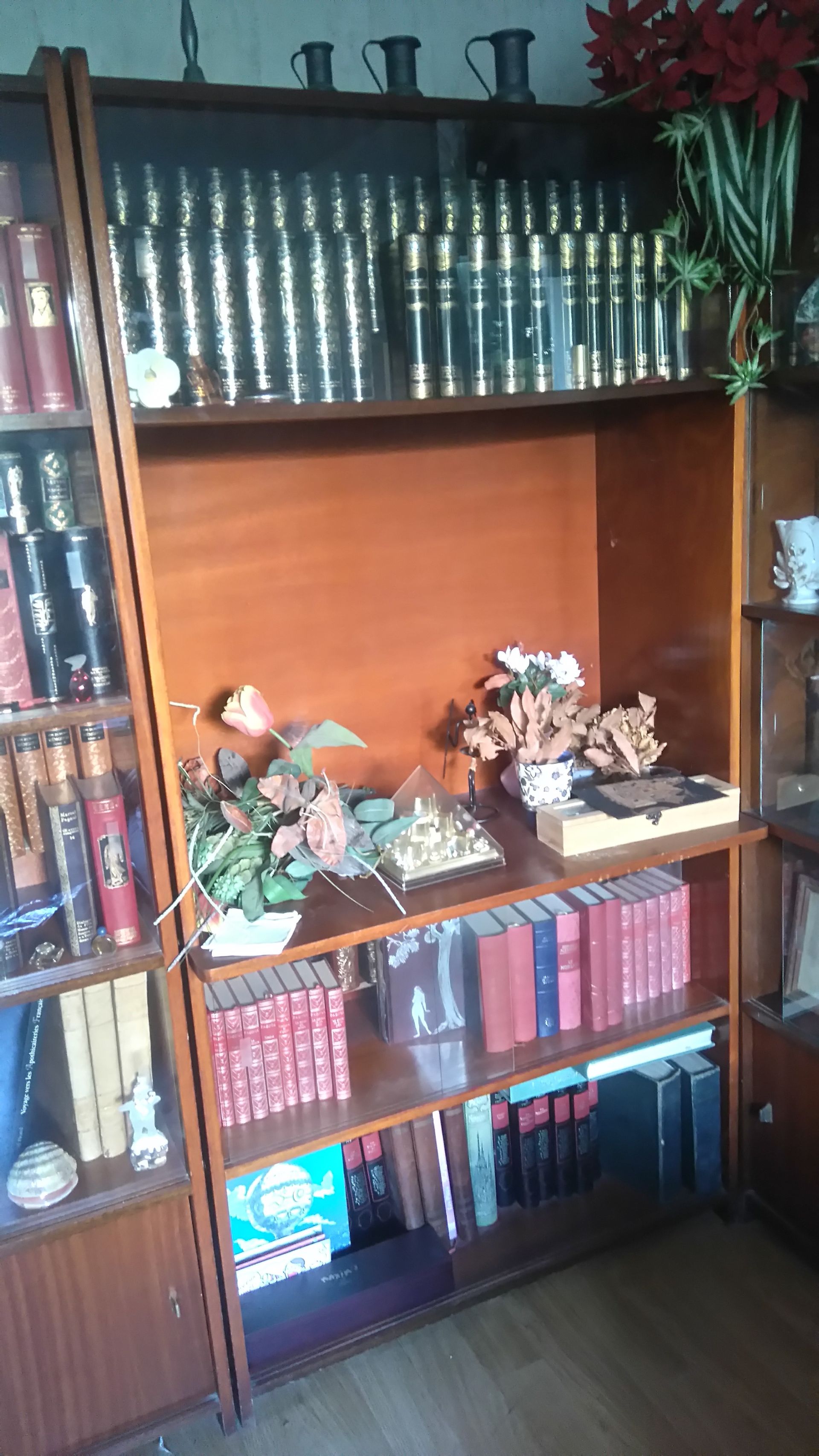 Bibliothèque en bois remplie de livres et d'objets décoratifs