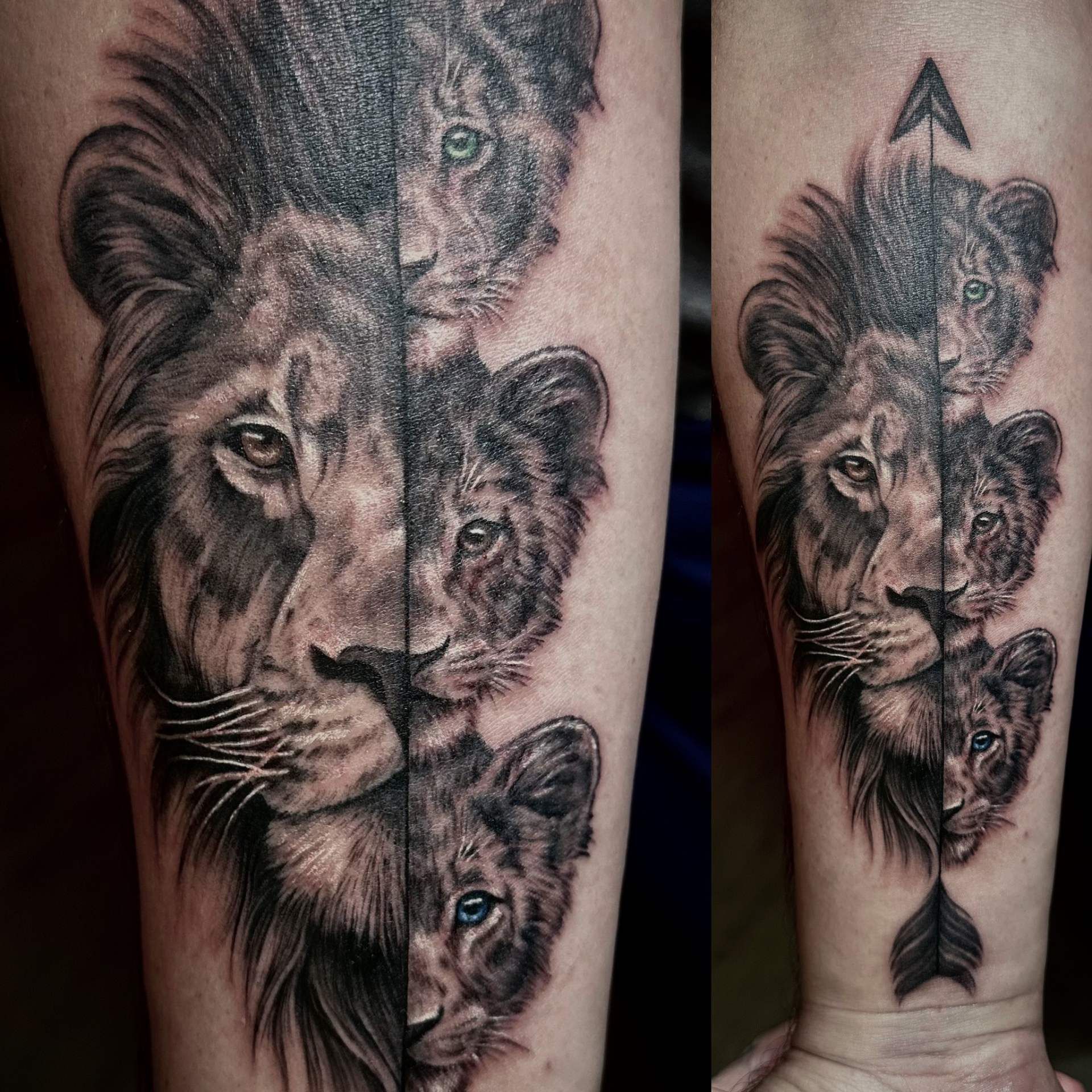 Black and white Tattoo eines realistischen Löwenkopfes, gespalten mit drei Jungtieren rechts
