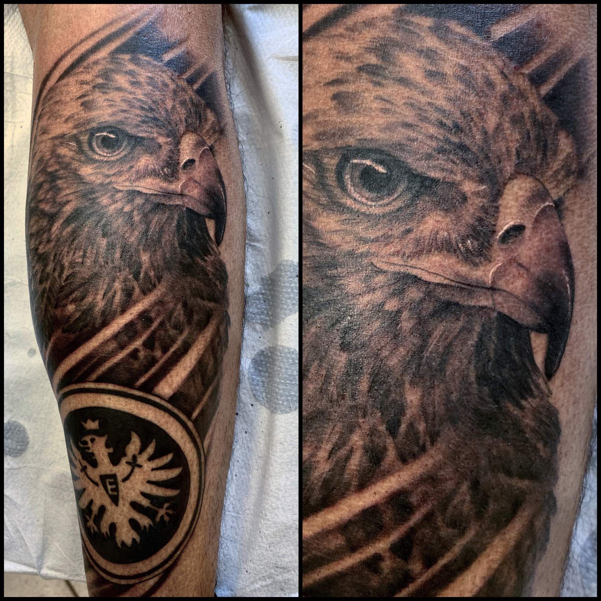 Tattoo eines realistischen Falken