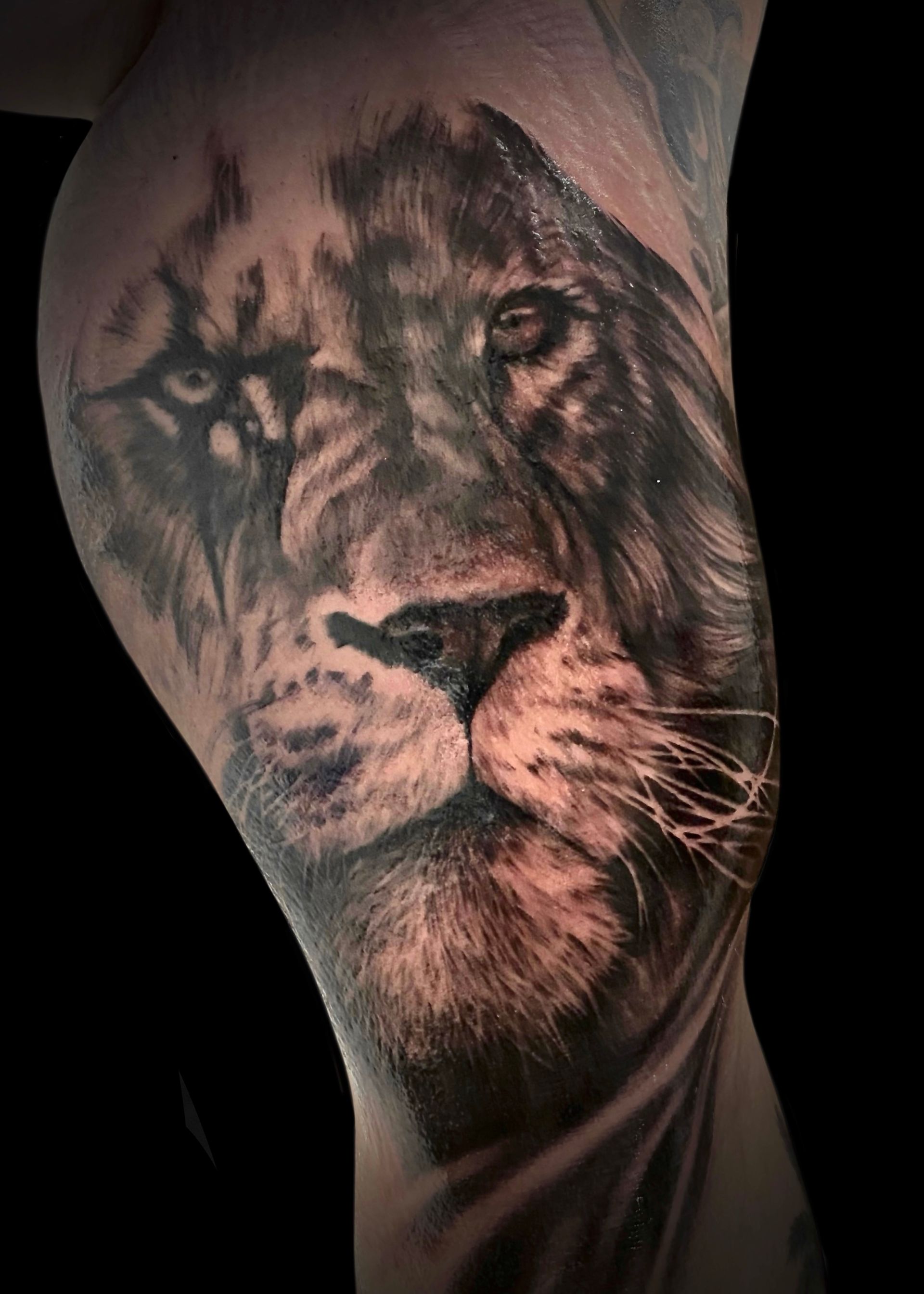 Realistisches Black and White Tattoo eines Löwen mit Narben