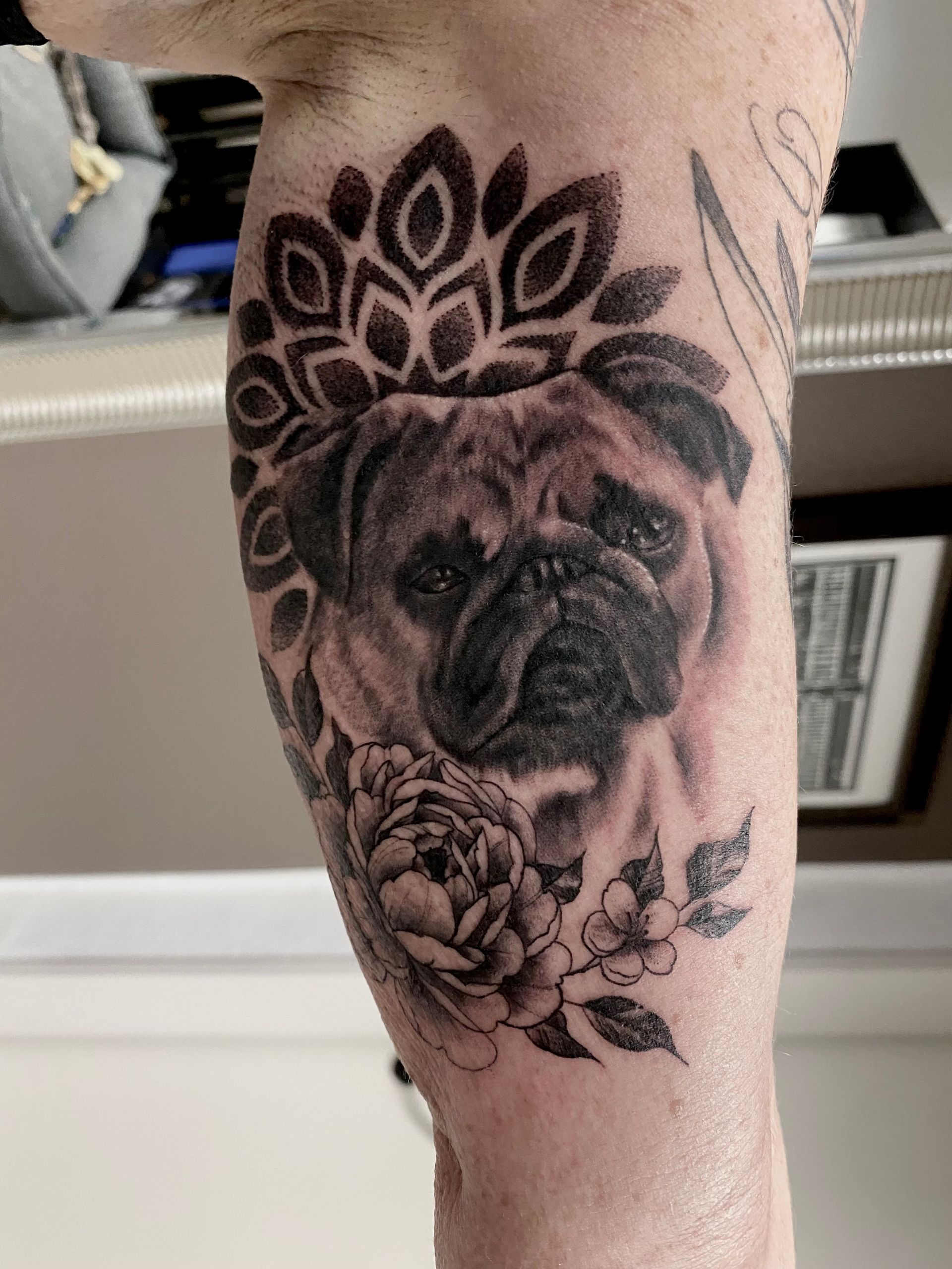 Dot Tattoo eines Mandalas, davor ein Mops