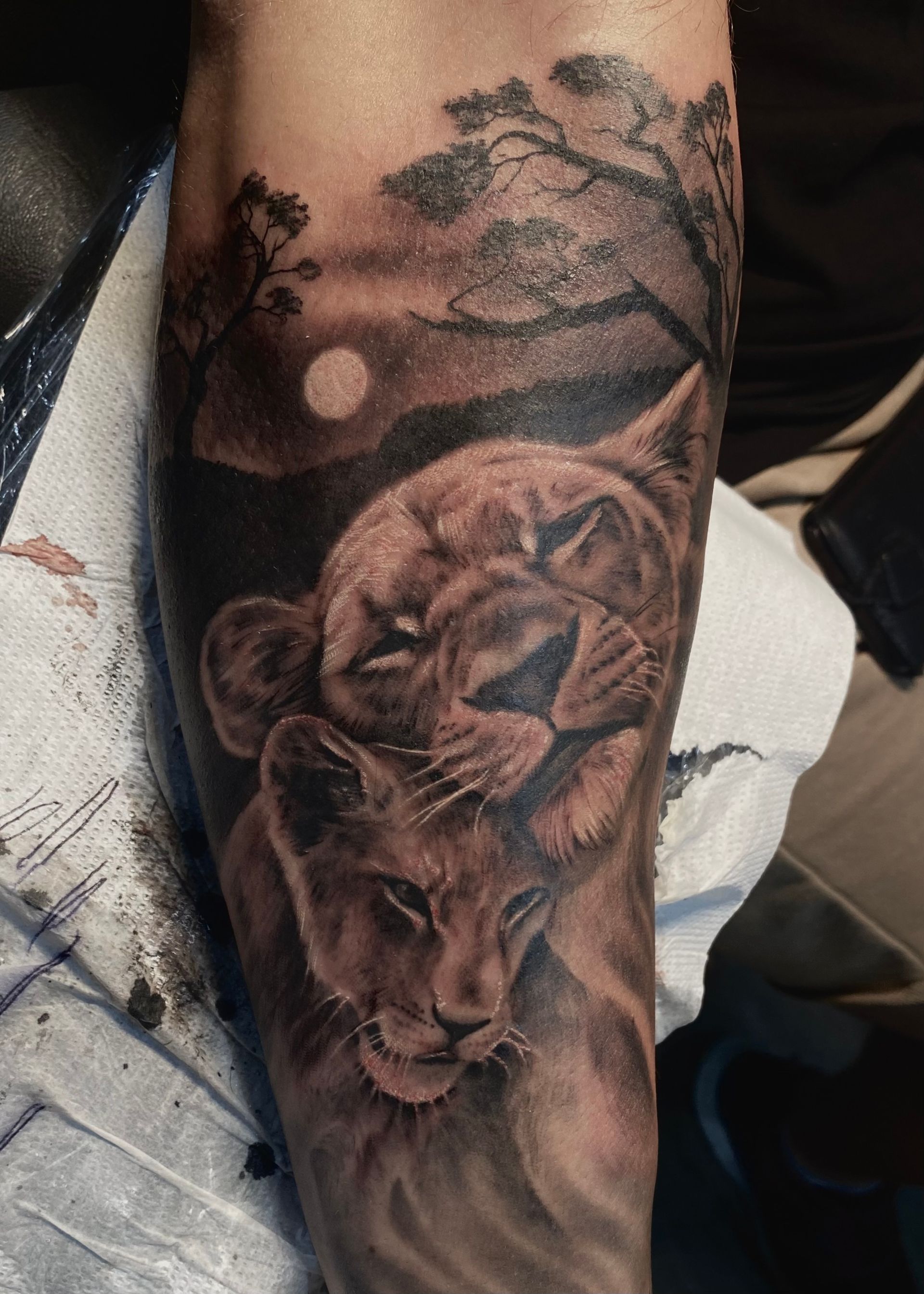 Realistisches Tattoo, Löwin und Jungtier mit Savanne im Hintergrund