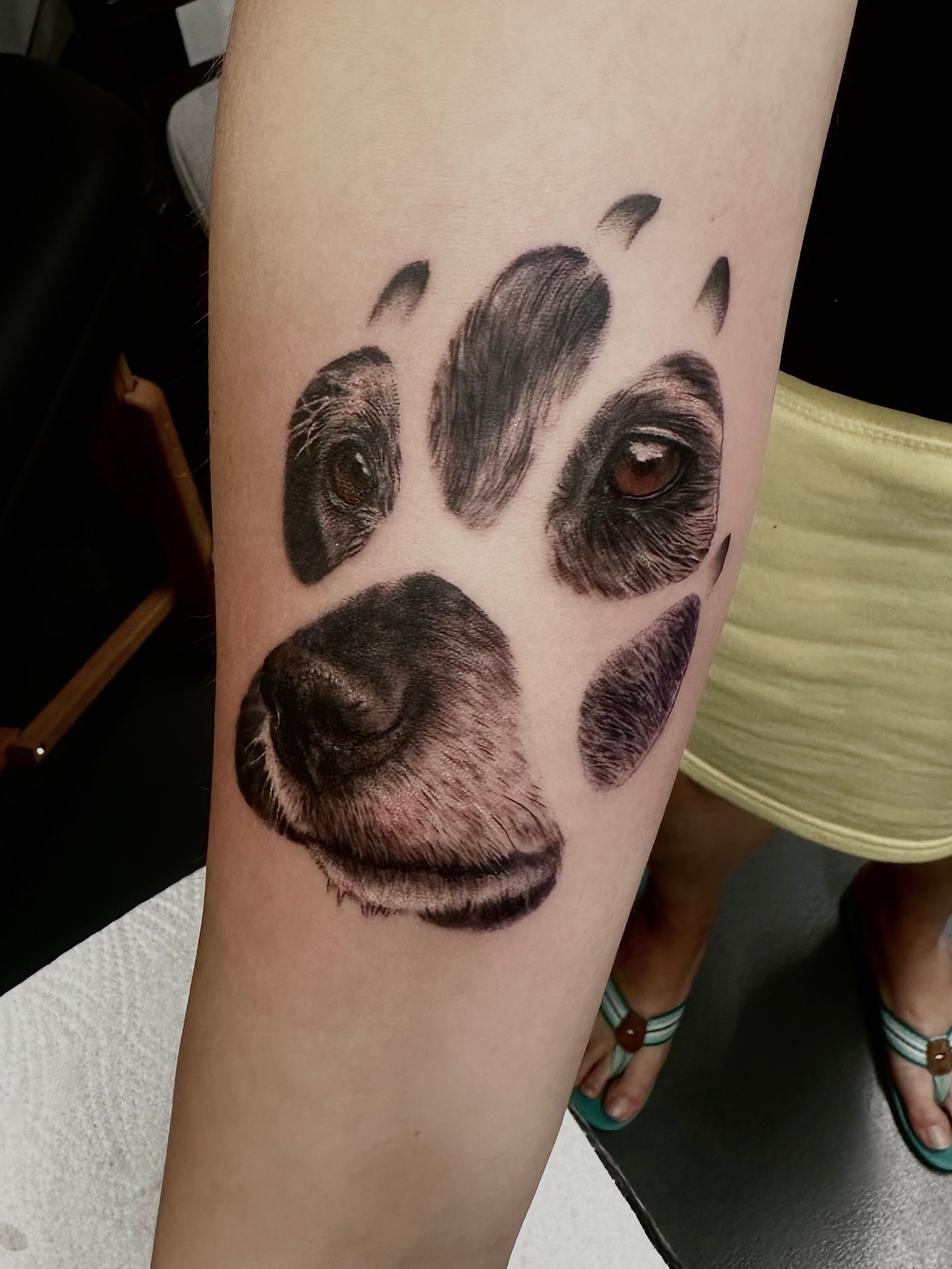 Realistisches, kunstvolles Tattoo einer Pfote mit Hundekopf drinnen