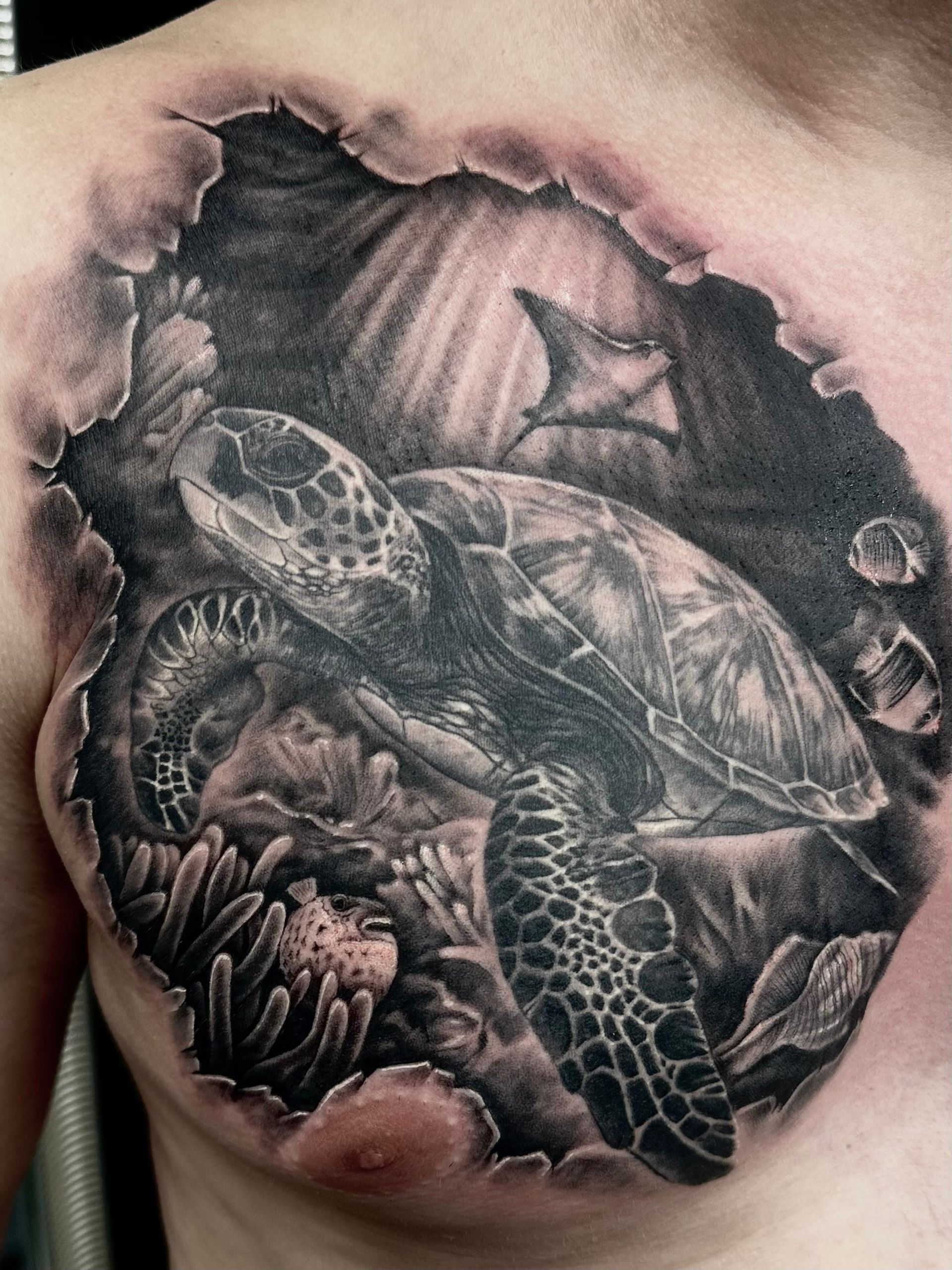 Realistisches Black and White Tattoo einer Schildkröte und eines Rochens, die aus dem Körper treten